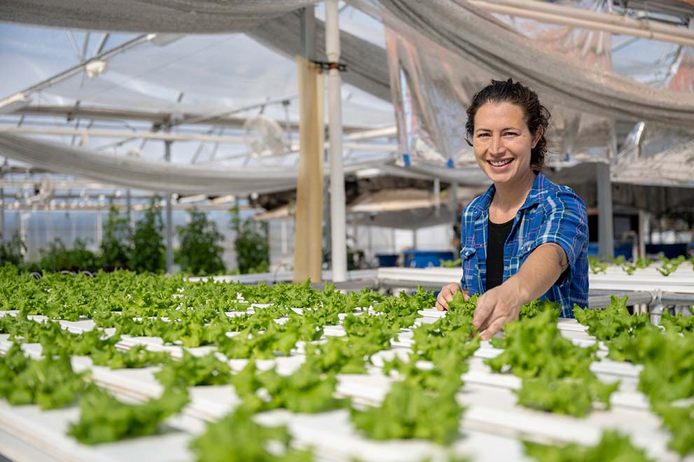 SFCC Greenhouse